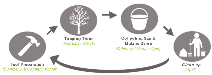 Maple Syrup Process Timeline Z-Orchard