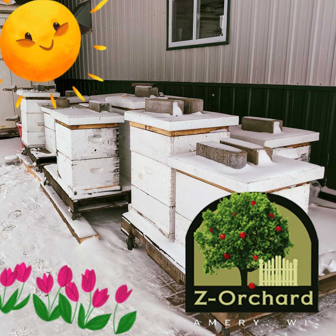 Z-Orchard Winter Honey Bees